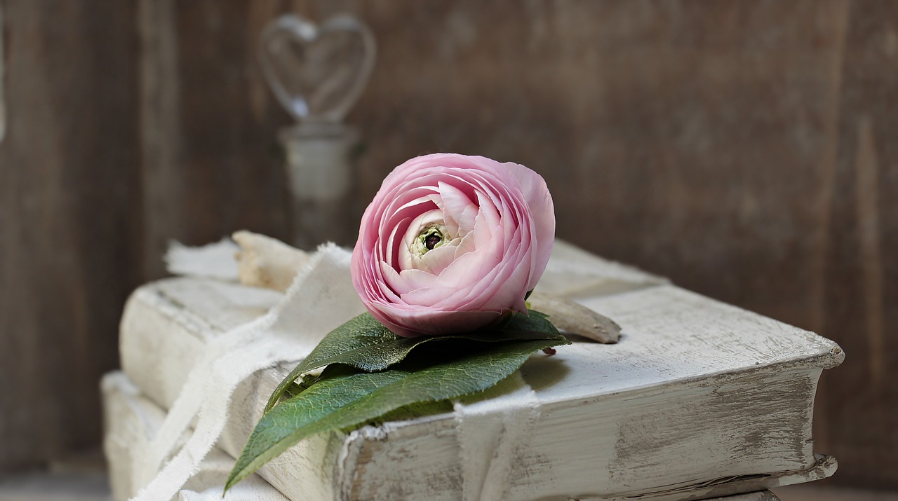books, old, romance-2306385.jpg